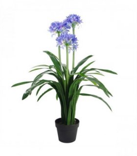 90cm Premium Artificial Agapanthus with pot BLUE