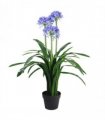 90cm Premium Artificial Agapanthus with pot BLUE