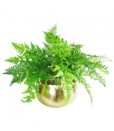XL Metal Bowl Planter 32 x 20cm Hammered Gold Colour Curvy Edge