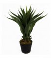 55cm Artificial Yucca Plant