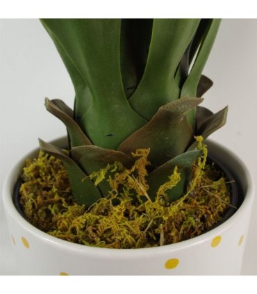 55cm Artificial Yucca Plant