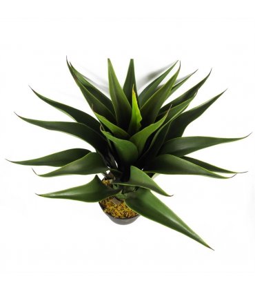 55cm Artificial Yucca Plant