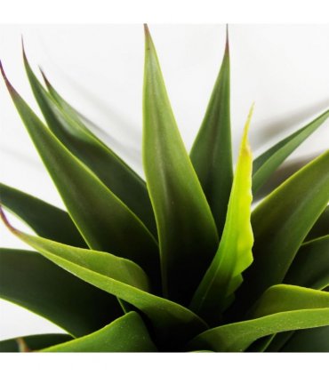 55cm Artificial Yucca Plant