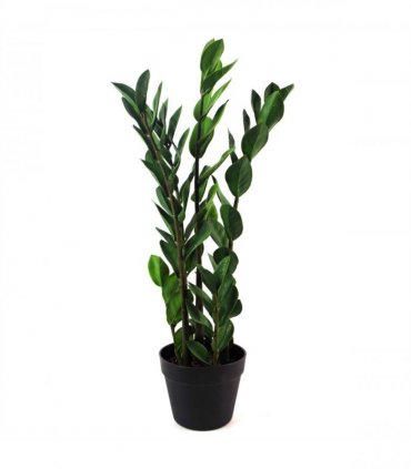 75cm Artificial Zanzibar Green Gem Zamioculcas Succulent Indoor Plant
