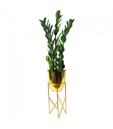 75cm Artificial Zanzibar Green Gem Zamioculcas Succulent Indoor Plant