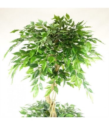 180cm Artificial Twisted Trunk Fruticosa Ficus Tree Triple Ball Topiary 1984 Leaves