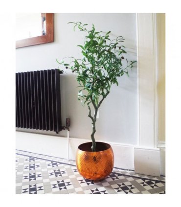 120cm Artificial Olive Tree Natural Style