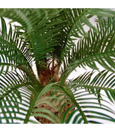 60cm Cycas Palm Plant Artificial Tropical Tree