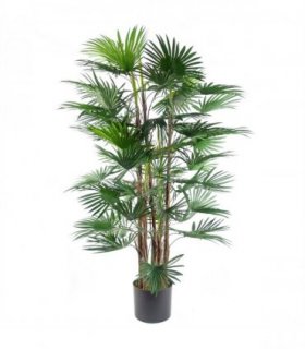 120cm Fan Palm Artificial Tree