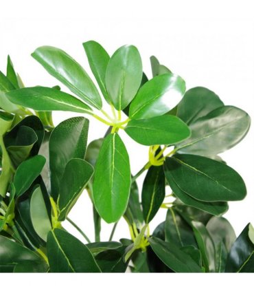 95cm Umbrella Tree Dark Green Artificial Ficus Plant