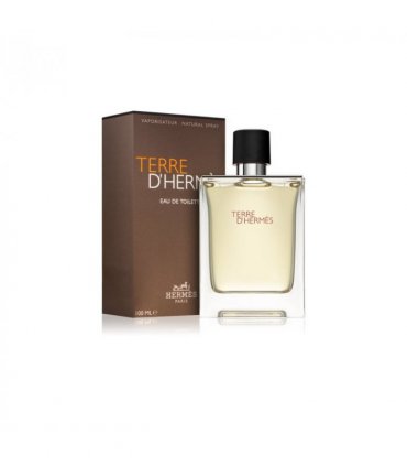 Hermes Terre D'hermes Eau De Toilette Spray 100ml