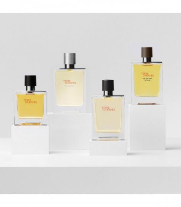 Hermes Terre D'hermes Eau De Toilette Spray 100ml