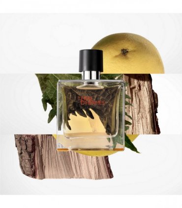 Hermes Terre D'hermes Eau De Toilette Spray 100ml