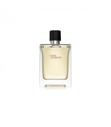 Hermes Terre D'hermes Eau De Toilette Spray 100ml