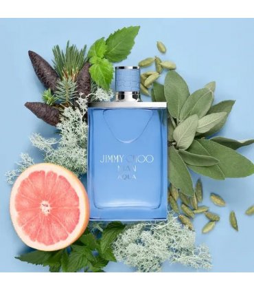 Jimmy Choo Man Aqua Eau De Toilette Spray 30ml