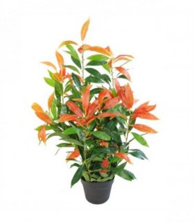 80cm Artificial Red and Green Ficus Plant