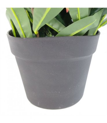 80cm Artificial Red and Green Ficus Plant