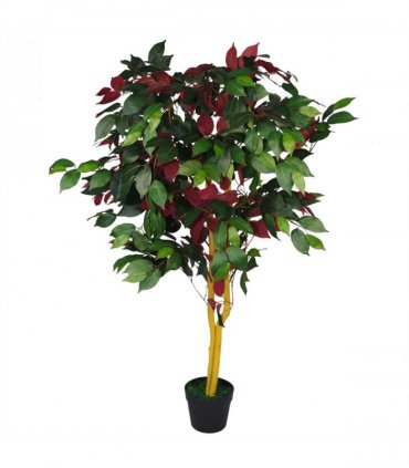 120cm (4ft) Artificial Capensia Tree Ficus Plant - Extra Large