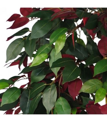 120cm (4ft) Artificial Capensia Tree Ficus Plant - Extra Large