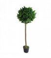 120cm (4ft) Plain Natural Trunk Artificial Topiary Bay Laurel Ball Tree
