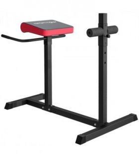 SPORTNOW Back Extension Roman Chair for Back, Abdominal and Gluteal Training