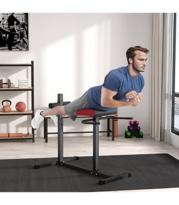 SPORTNOW Back Extension Roman Chair for Back, Abdominal and Gluteal Training