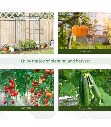 Mini Walk-in Greenhouse