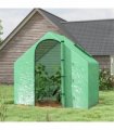 Mini Walk-in Greenhouse