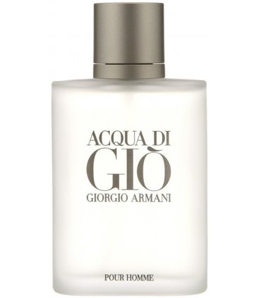 Giorgio Armani Acqua Di Gio Eau de Toilette Spray 100ml