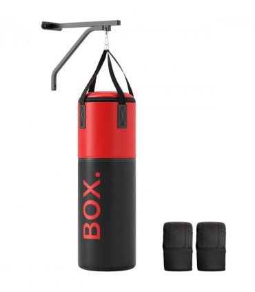 SPORTNOW Unfilled Punch Bag with Boxing Gloves and Wall Mounted Bracket