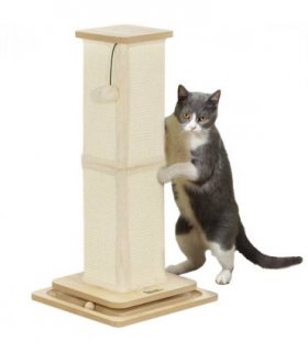 PawHut 67cm Cat Scratching Post 3 in 1 Cat Scratcher w/ Track Ball Toy