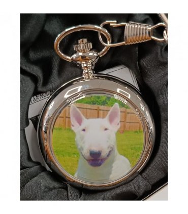 Boxx Picture Pocket watch Dog  P5061.116