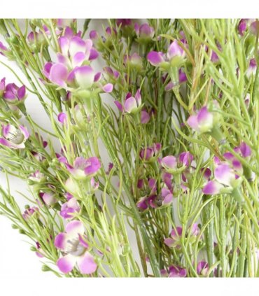 Pack of 6 x 100cm Artificial Foliage Stem with Small Flowers - Purple