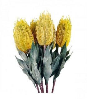 Pack of 6 x 75cm Banksia Menziesii Yellow Flower Stem Artificial