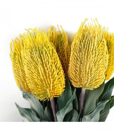 Pack of 6 x 75cm Banksia Menziesii Yellow Flower Stem Artificial