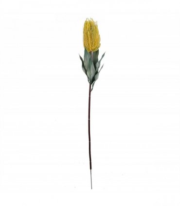 Pack of 6 x 75cm Banksia Menziesii Yellow Flower Stem Artificial