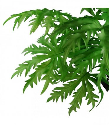 Pack of 6 x 85cm Artificial Foliage Leaf Stem