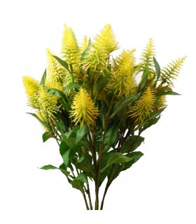 Pack of 6 x 55cm Callistemon Pallidus Yellow Bottle Brush Stem