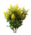 Pack of 6 x 55cm Callistemon Pallidus Yellow Bottle Brush Stem