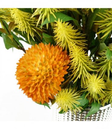 Pack of 6 x 55cm Callistemon Pallidus Yellow Bottle Brush Stem