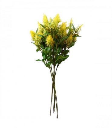 Pack of 6 x 55cm Callistemon Pallidus Yellow Bottle Brush Stem
