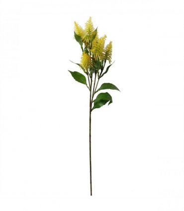Pack of 6 x 55cm Callistemon Pallidus Yellow Bottle Brush Stem