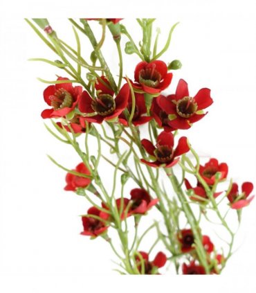 Pack of 6 x 100cm Artificial Foliage Stem with Small Flowers - Red