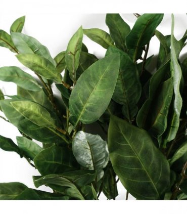 Pack of 6 x 90cm Artificial Ficus Foliage Stem