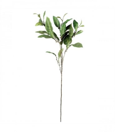 Pack of 6 x 90cm Artificial Ficus Foliage Stem