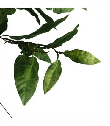 Pack of 6 x 90cm Artificial Ficus Foliage Stem