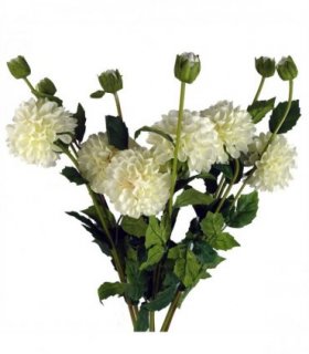 Pack of 6 x 75cm Artificial Dahlia PomPom Flower Stem Cream