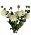 Pack of 6 x 75cm Artificial Dahlia PomPom Flower Stem Cream