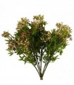 Pack of 6 x 55cm Artificial Foliage Stem with Pink Berries