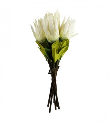 Pack of 6 x 65cm Protea Sugarbush Flower Stem - White